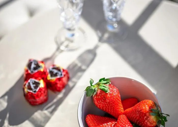 Le Riviera Palace - Vue Sur La - Parking Prive *